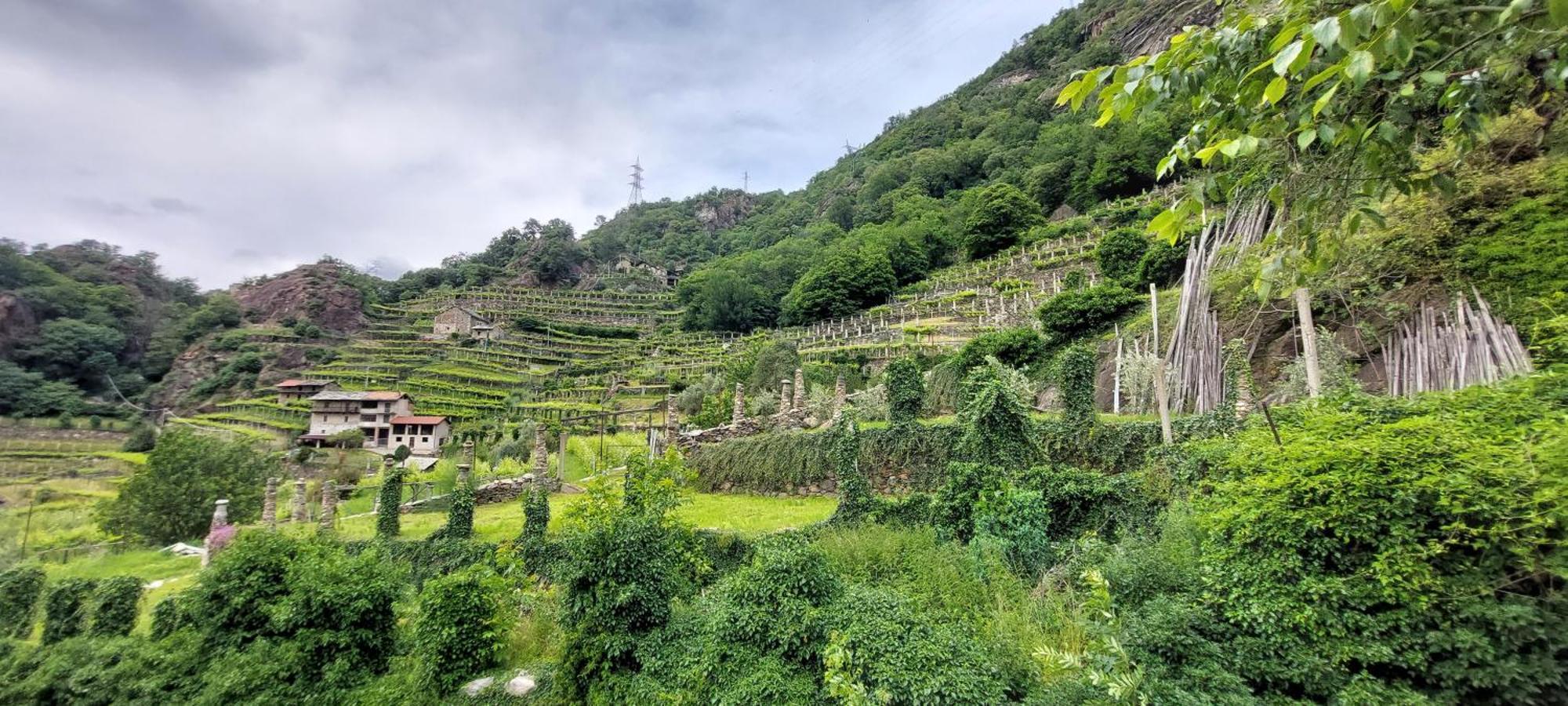 Relais Del Brigante Bed & Breakfast Settimo Vittone Exterior foto