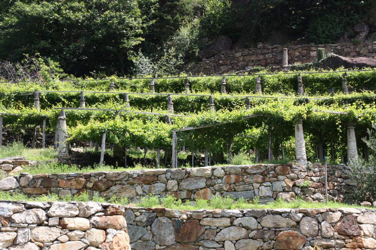 Relais Del Brigante Bed & Breakfast Settimo Vittone Exterior foto